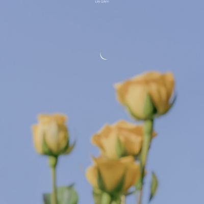 观澜:缺乏国际法根基的“护航”难成行