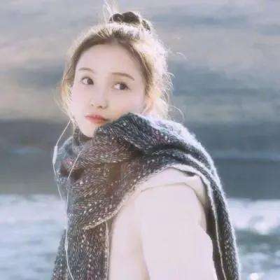 英雄棋士团破解版