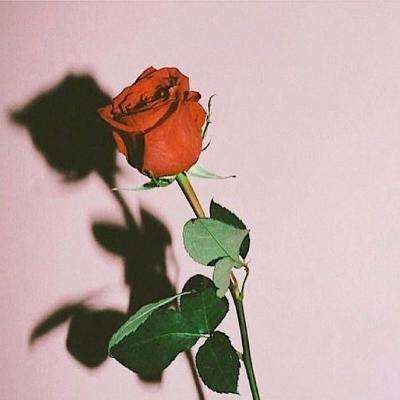 智造合伙人 | 不止智造,更是 “...