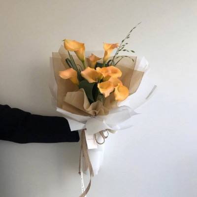 乐鱼 电竞 体育