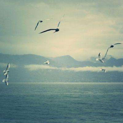 起猛了 看见机器人组团跳《茉莉花》