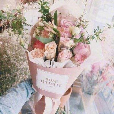 星空综合官网下载