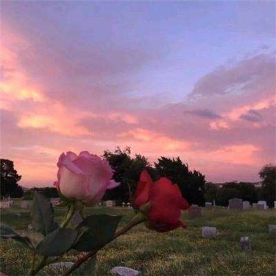 林俊旸从阿里离职后首发长文