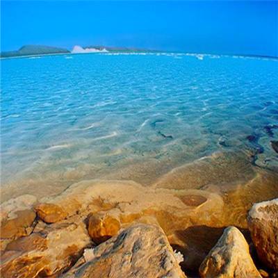 张勇重回海底捞的首份答卷:增收不增利,翻台率下降