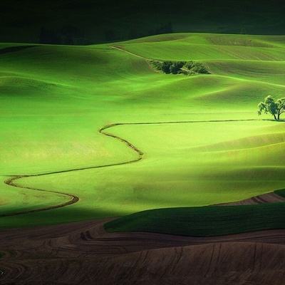 强闯我驻日使馆男子正面照曝光：本月刚被晋升，自称“打算向中国大使陈述意见，若被拒绝就打算自杀”