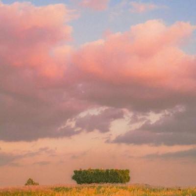 OpenAI停止视频生成工具Sora