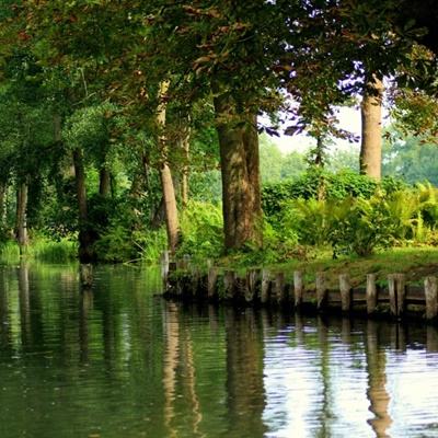 美团午后快速拉升,现涨近12%,公司将于明日公布业绩