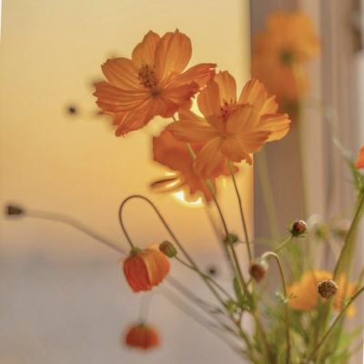 爱体育APP(官方)综合娱乐APP下载