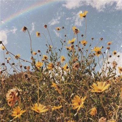 旅游ETF华夏(562510)涨3.09%,成交额5521.21万元