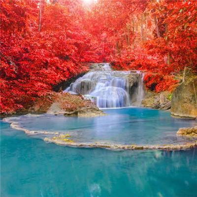 微盟携手红太阳深耕农产品数智化,持续助力“数字红太阳”战略落地