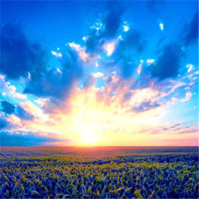 因抢玩具殴打2岁女童女子被拘留