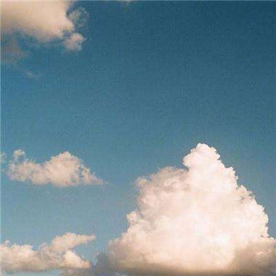 绿化带卷出新高度 外国网友羡慕哭了