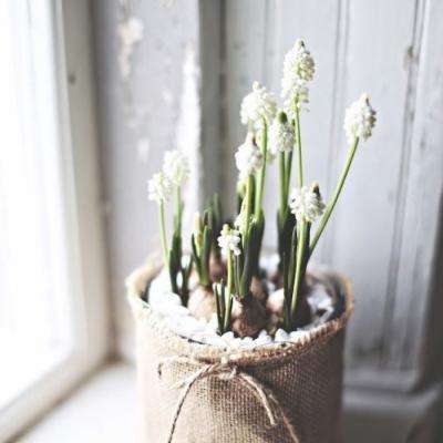 新质赋能,智领工控|凌壹 & 金...