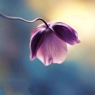 股息率最高7.79%!抗跌绩优股出炉,6股业绩猛增50%以上