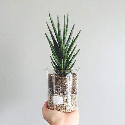 有编制!长沙市教育局所属29个事业单位公开招聘226名教职工