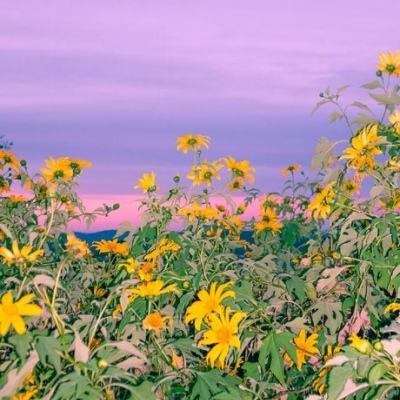 23年斥巨资买楼里两年减值超6亿、疫情期间激进扩张 李宁利润连续三年下滑为管理层决策失误买单?四赴雄安 对“未来之城”再部署