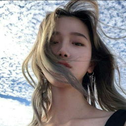 人类将率先与哪种动物“对话”?AI正加速破译跨物种“语言”