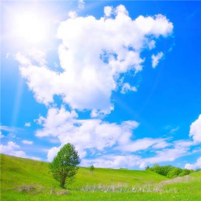 酒价内参3月25日价格发布 大单品终端价格窄幅波动