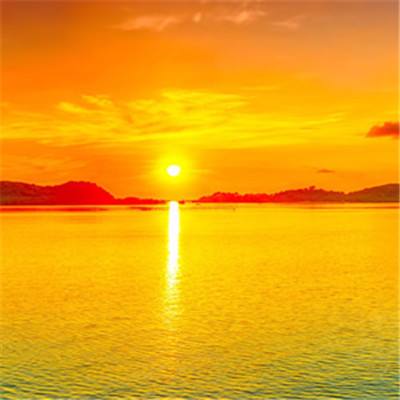 《癌症生态学与进化》出版