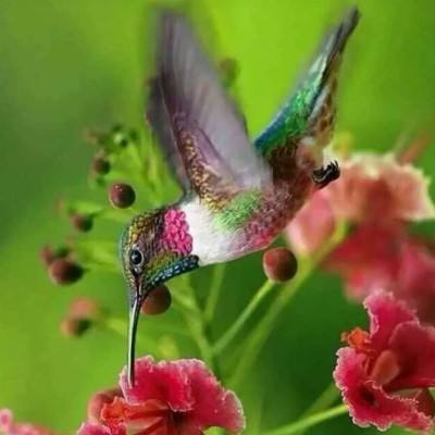 信捷电气亮相2026成都工博会圆满...