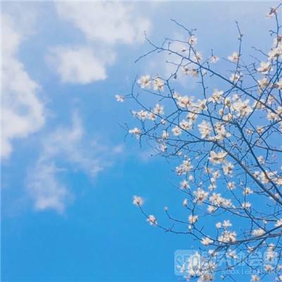 普京发现女士没酒杯后让出自己的