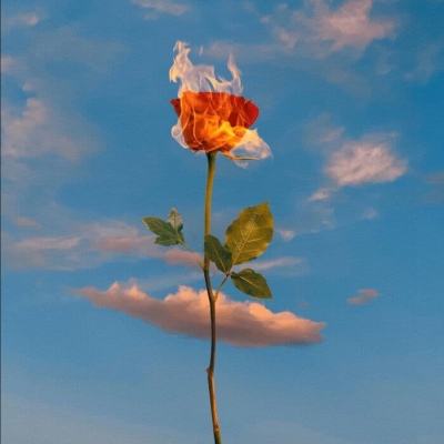 倒计时1天| 和利时与您明天见