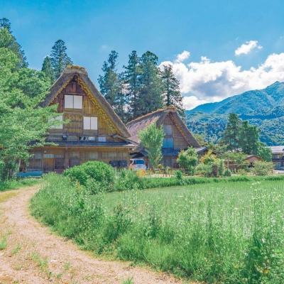 明星收入究竟有多高,明星应当如何纳税?