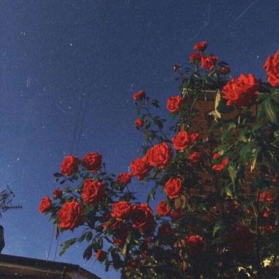 从全球灯塔工厂到AW 2026:LS电...