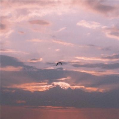 横行天下无限版