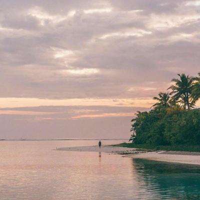 报告发现：AI 与机器人程序已正式接管互联网