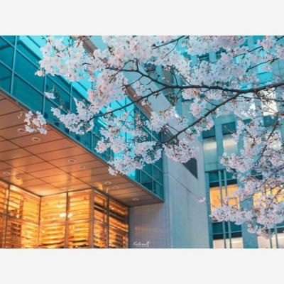 游戏驿站营收下滑 数字转型加速