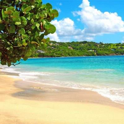 开元561.棋牌app下载