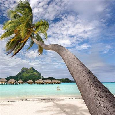 张雪峰最后一次直播画面公布,网友:状态不对劲