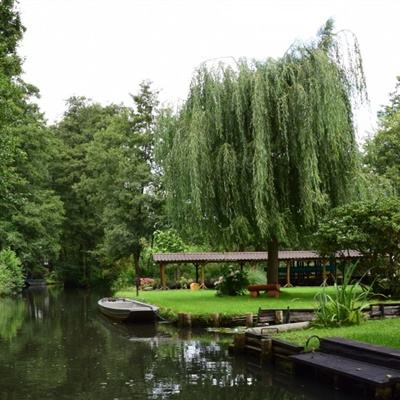 亚冠-特谢拉处子球拉米争议染红 苏宁3-2力克全北