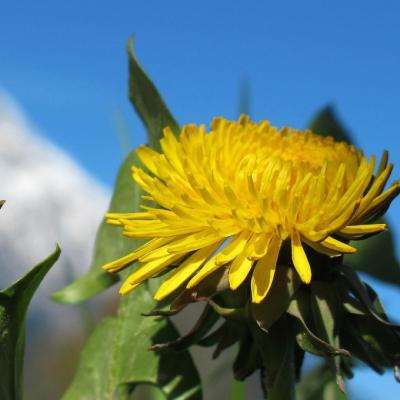 独家评论:库里超越乔丹是早晚的事