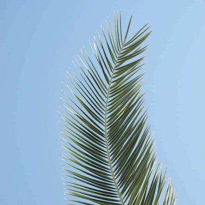 美国向中东增兵数千,三大攻击场景浮出水面