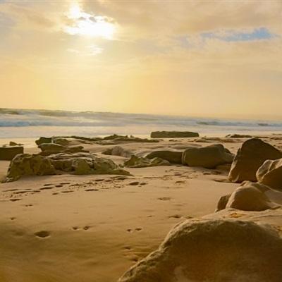 问题公司步步走低 130股市值不足20亿