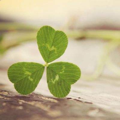 藏不住笑!国足复仇泰国 里皮表情亮了