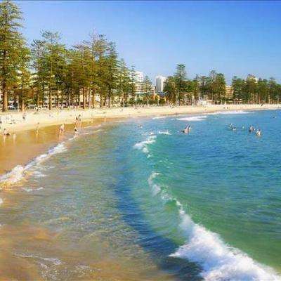 张雪峰离世敲警钟 国产猝死救命神器上市公司有这几家