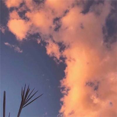 特斯拉机器人有望在今夏启动生产 机器人板块迎重要催化