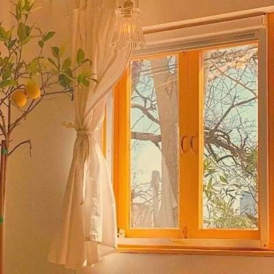 护士的爱情故事