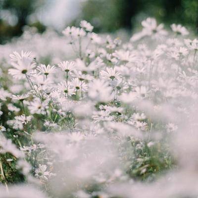 财通多策略升级混合(LOF)C净值上涨4.58%