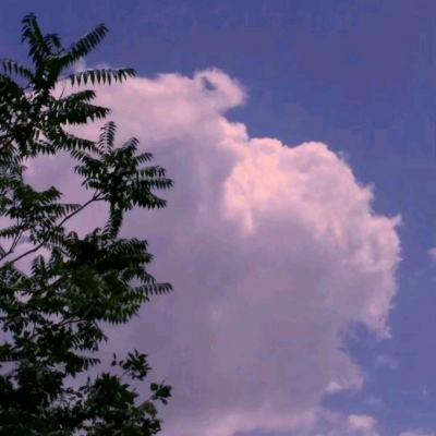 杏盛娱乐左93o79