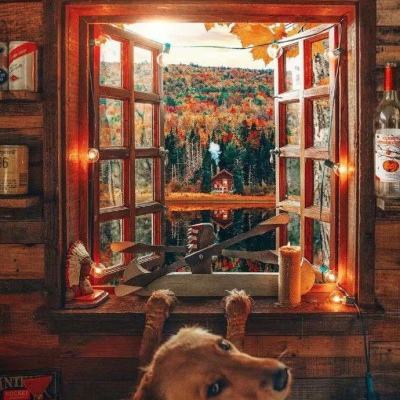 A股下跌后最关键问题:有些品种再也回不去了