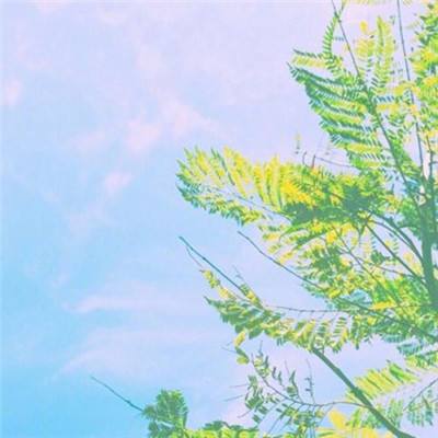 对公狂飙、零售承压,重庆银行高增长背后藏挑战