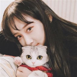 永乐国际棋牌app