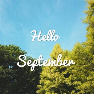 熊猫体育官网网页版