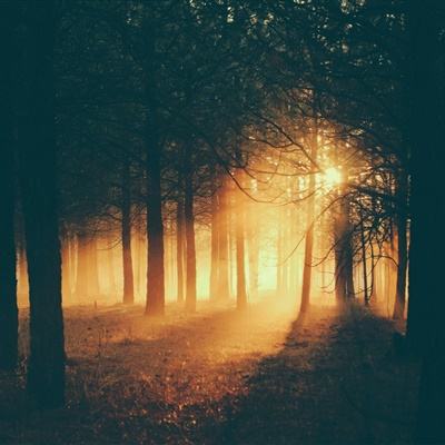 球盟会网页版相关推荐1