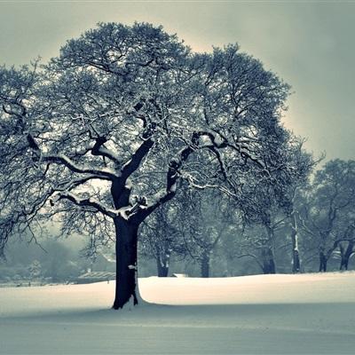 SEMICON上海半导体展现场直击：i...