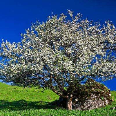 e游娱乐下载游戏官网（中国官方网站